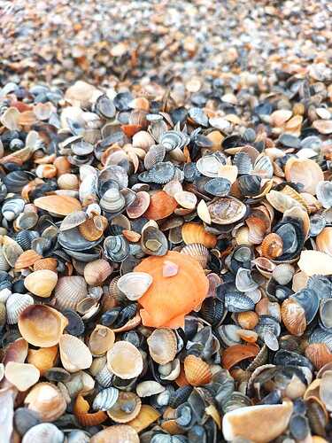 IMG-20250425-WA0012