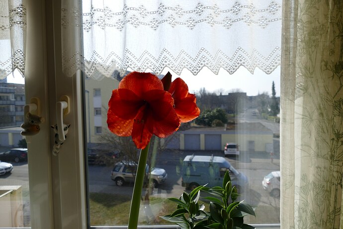P1010004a