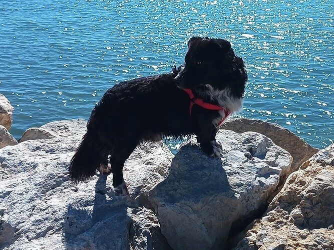 IMG_20251005_130823_408