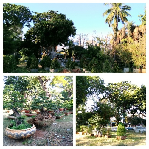 20200131_194909-COLLAGE