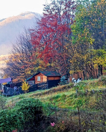 IMG_20251102_080211_420~4