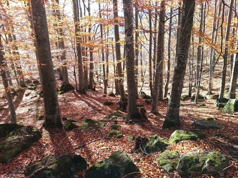 IMG_20251101_113926_414